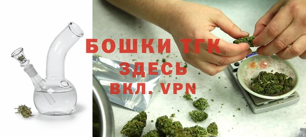 сатива Белоозёрский