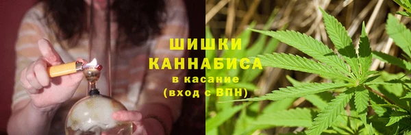 сатива Белоозёрский
