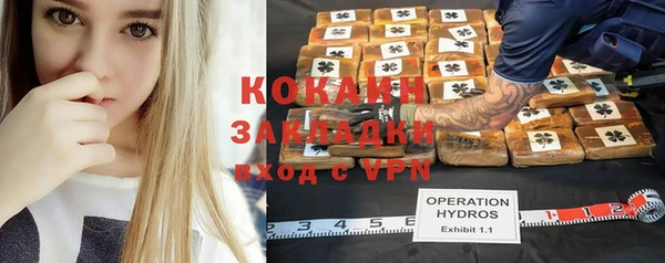 сатива Белоозёрский