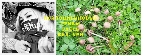 гашишное масло Белокуриха